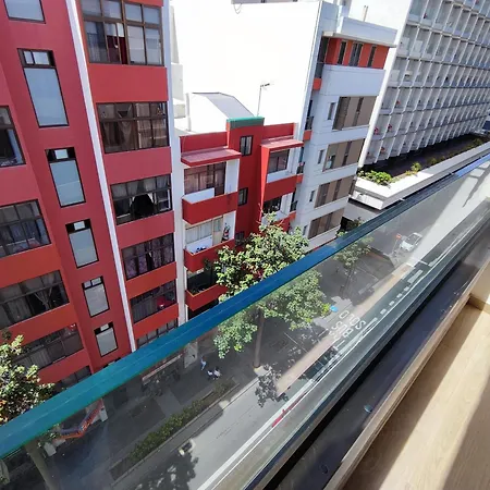 Delfin Apartamento *